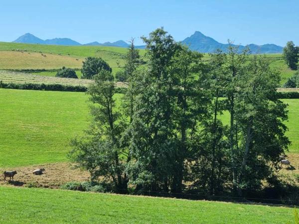 Dpt Hautes Pyrénées (65), à vendre proche de TARBES maison P8 de 220 m², 4 chambres - Terrain de 4 395,00 m²