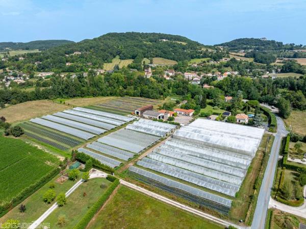 Vente murs / Local activité à Dausse (47140)