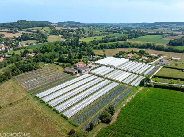 Vente murs / Local activité à Dausse (47140)