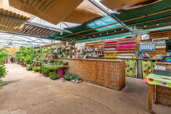 Vente murs / Local activité à Dausse (47140)