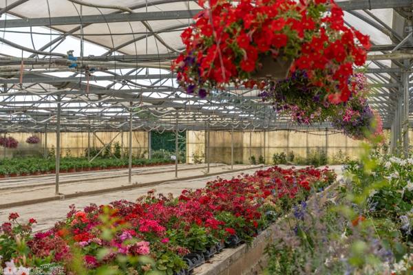 Vente murs / Local activité à Dausse (47140)