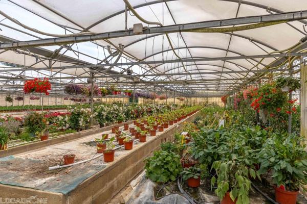 Vente murs / Local activité à Dausse (47140)