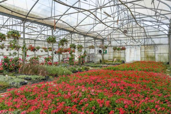 Vente murs / Local activité à Dausse (47140)