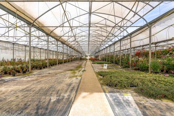 Vente murs / Local activité à Dausse (47140)