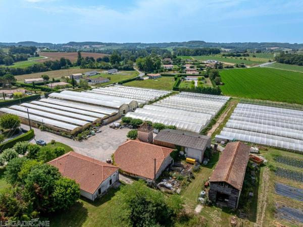 Vente murs / Local activité à Dausse (47140)