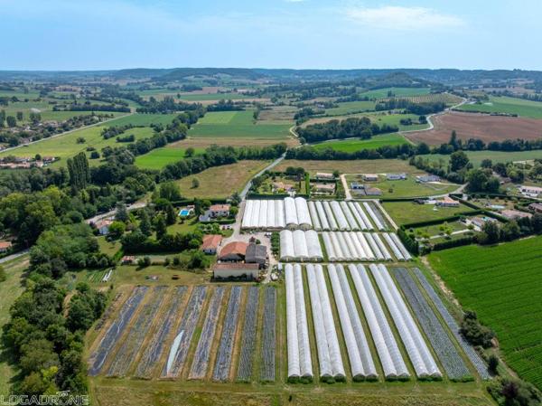 Vente murs / Local activité à Dausse (47140)