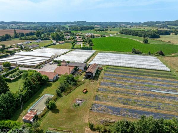 Vente murs / Local activité à Dausse (47140)