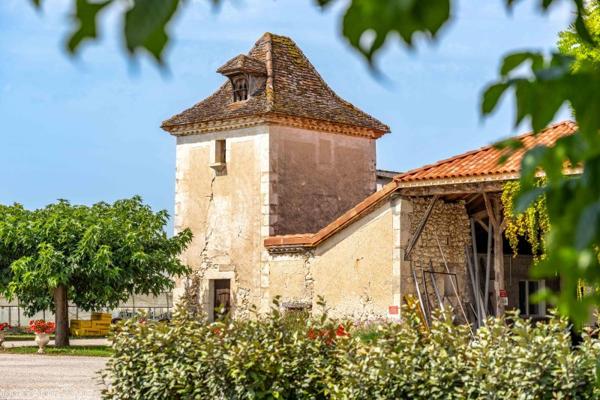 Vente murs / Local activité à Dausse (47140)