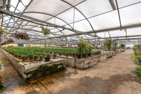 Vente murs / Local activité à Dausse (47140)