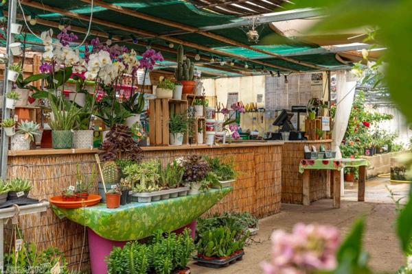Vente murs / Local activité à Dausse (47140)