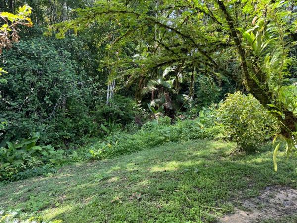 Maison à vendre 5 pièces SAINT LAURENT DU MARONI (973)