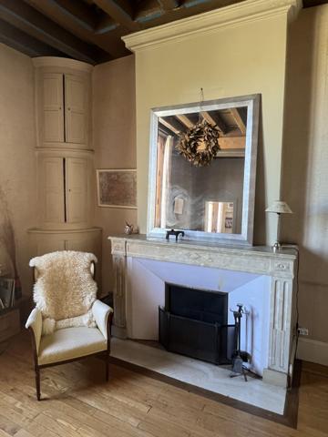 À vendre - Maison de maître, 8 pièces situé à Lavardin (41800)