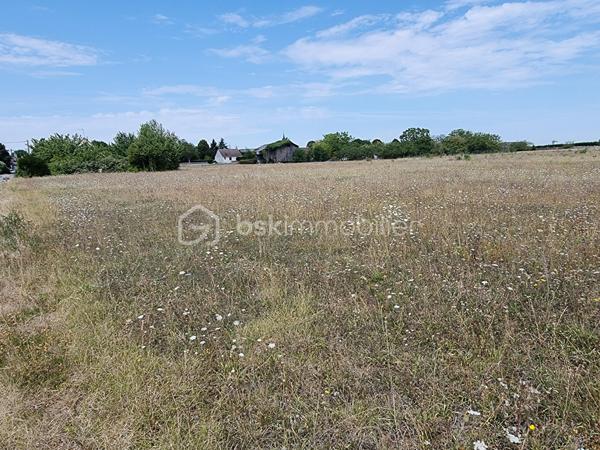 Terrain de 7 973 m²