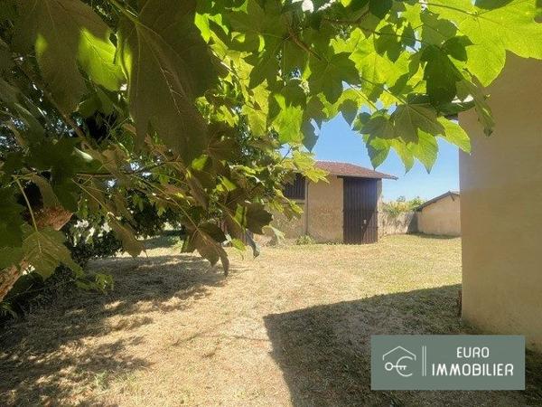 maison pierre - BAZAS - Gironde (33) - NOUVELLE AQUITAINE