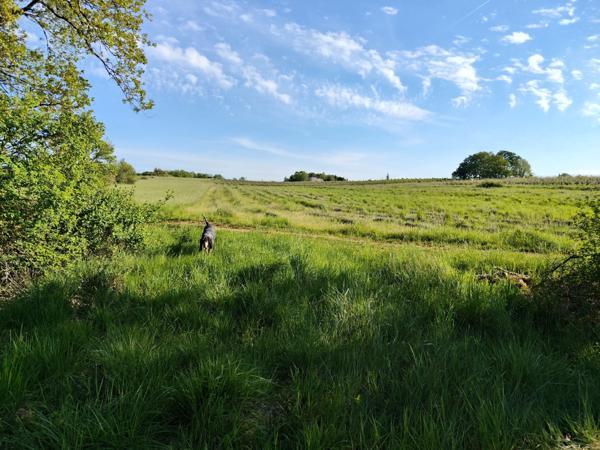 Terrain - 16570 m²