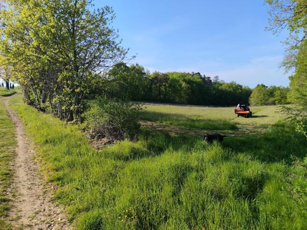 Terrain - 16570 m²