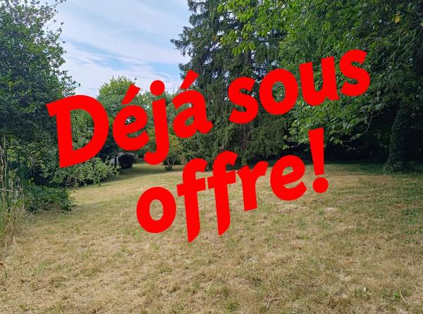 Terrain
        
        - 1391 m² Exclusivité 50 000 € *