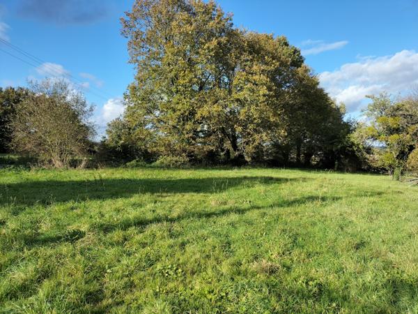 Maison 5 pièce(s) 1 chambre(s) 149 m²