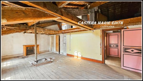 - ANCIEN HOTEL PARTICULIER- hypercentre - jardin - SALIES DU SALAT (31)