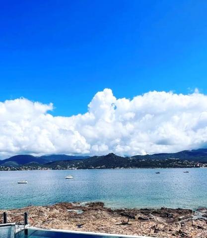 Vente Fonds de commerce 1000 m2 à Vico