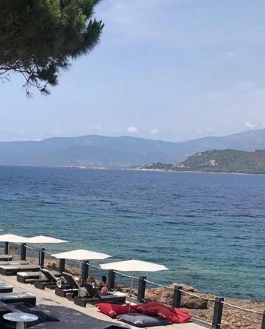 Vente Fonds de commerce 1000 m2 à Vico