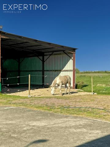 Bois-de-Céné (85710) Propriété avec une structure équestre sur 8 ha