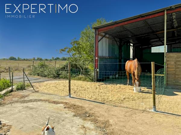 Bois-de-Céné (85710) Propriété avec une structure équestre sur 8 ha