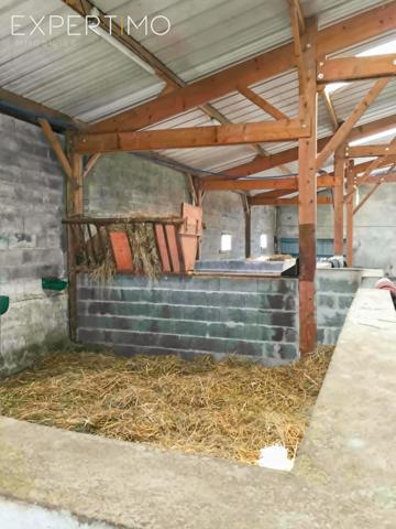 Bois-de-Céné (85710) Propriété avec une structure équestre sur 8 ha