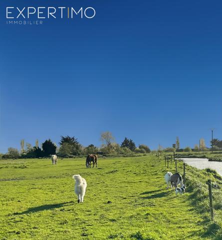 Bois-de-Céné (85710) Propriété avec une structure équestre sur 8 ha