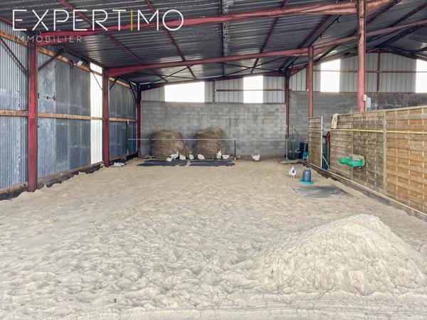 Bois-de-Céné (85710) Propriété avec une structure équestre sur 8 ha