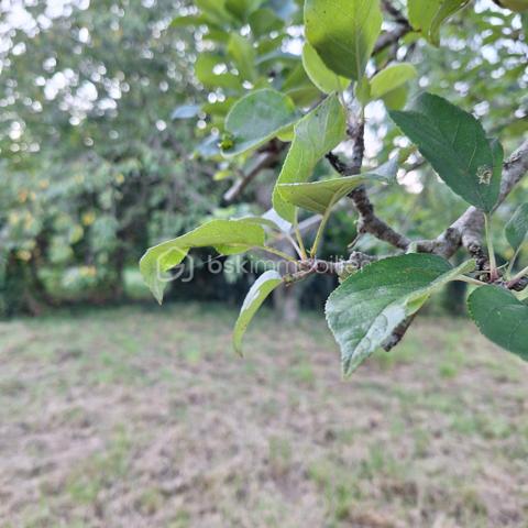 Maison de village de 211,61 m²