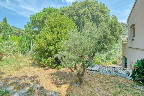 Maison Ville Di Pietrabugno 6 pièces 194 m2 - terrain 1710 m2 vue mer et montagne