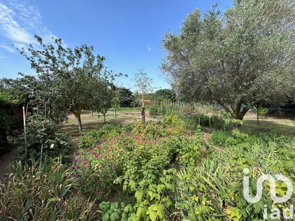 Terrain à vendre 994 m² Sérignan