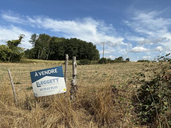 Terrain à vendre à Saint-Sulpice-les-Champs (23480) - Creuse