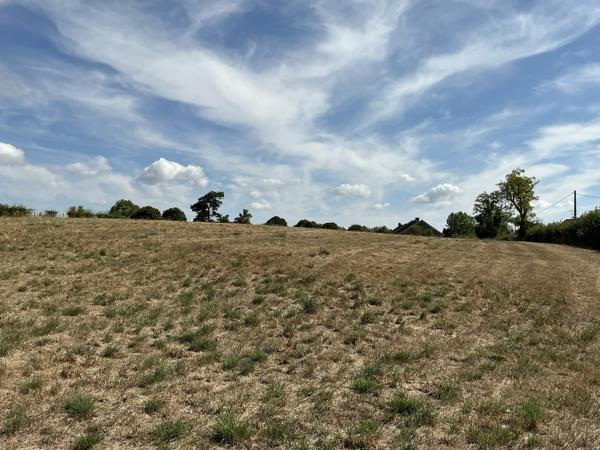 Terrain à vendre à Saint-Sulpice-les-Champs (23480) - Creuse