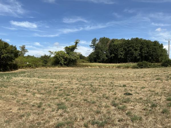 Terrain à vendre à Saint-Sulpice-les-Champs (23480) - Creuse