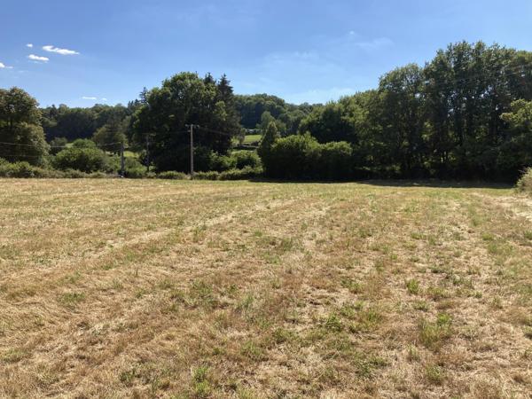 Terrain à vendre à Saint-Sulpice-les-Champs (23480) - Creuse