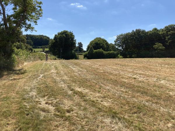Terrain à vendre à Saint-Sulpice-les-Champs (23480) - Creuse