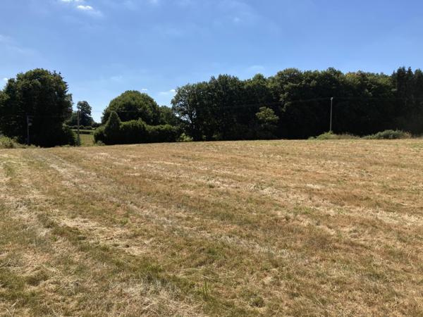 Terrain à vendre à Saint-Sulpice-les-Champs (23480) - Creuse