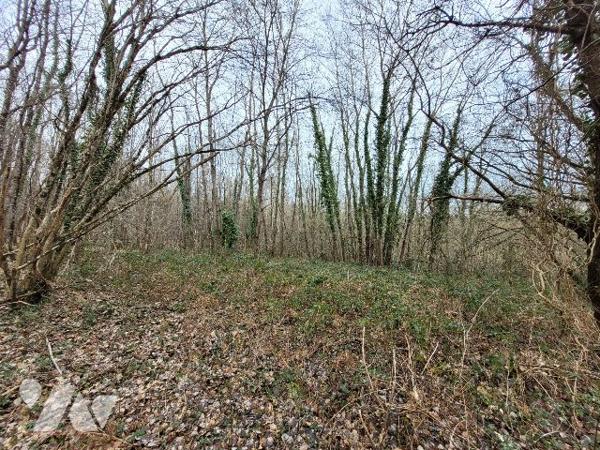 PARCELLES DE BOIS