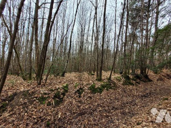 PARCELLES DE BOIS