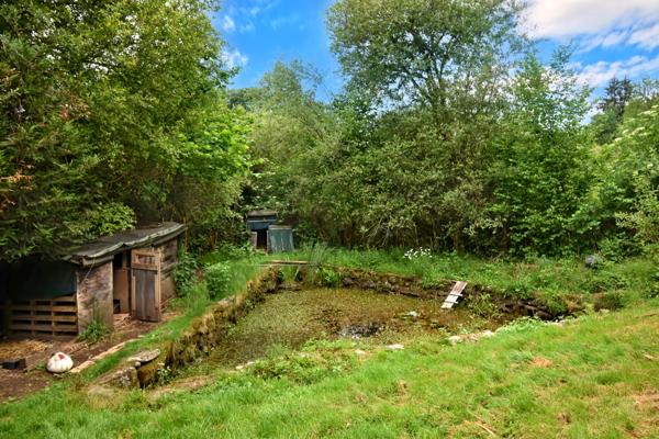 Chalet à vendre à Bugeat (19170) - Corrèze