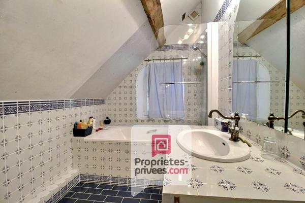 1h30 de PARIS - SUPERBE LONGERE GATINAISE, SPACIEUSE DEPENDANCE, SPA et JACUZZI sur  son MAGNIFIQUE PARC de 7000 m2