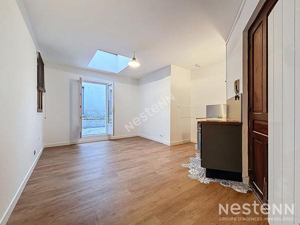 Appartement T1bis à vendre - Résidence Ancienne avec Terrasse Spacieuse