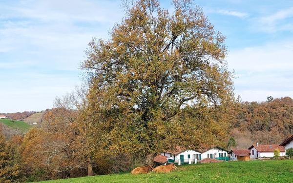 Appartement à vendre    2 pièces • 57,56 m2 Saint-Pée-sur-Nivelle