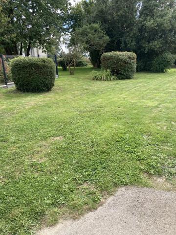 Location Maison 3 pièces 65 m2 à Forges-de-Lanouée