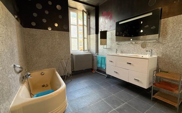 Maison à vendre    11 pièces •  Mende