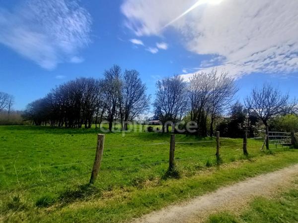 Maison à vendre 7 pièces (89)