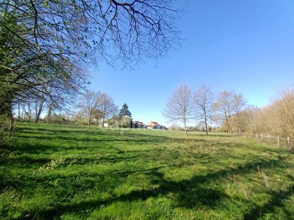 Maison à vendre 7 pièces (89)