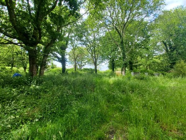 TERRAIN – A VENDRE – SECTEUR LORIENT